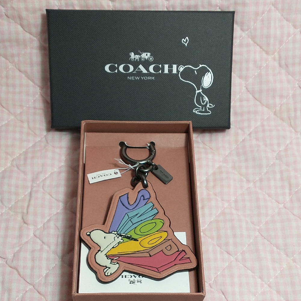 Coach Snoopy Rainbow Keychain